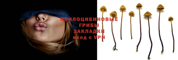 мескалин Липки