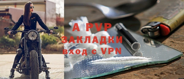 прущие грибы Долгопрудный
