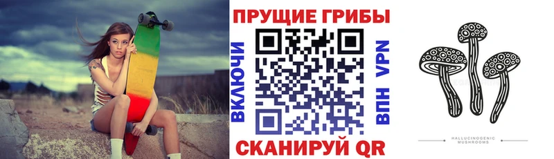 Псилоцибиновые грибы ЛСД как найти закладки Невельск